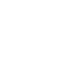item showcase image